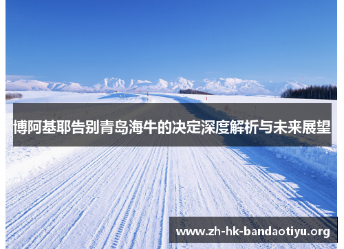 博阿基耶告别青岛海牛的决定深度解析与未来展望