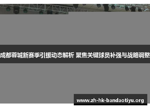 成都蓉城新赛季引援动态解析 聚焦关键球员补强与战略调整