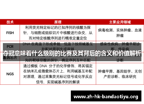 夺冠意味着什么级别的比赛及其背后的含义和价值解析
