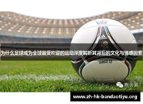 为什么足球成为全球最受欢迎的运动深度解析其背后的文化与情感因素